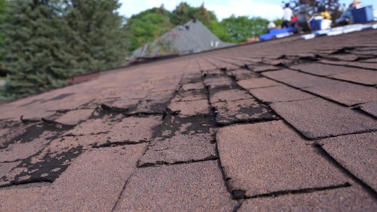 Best Roof Leak Repair  in Broadway, VA